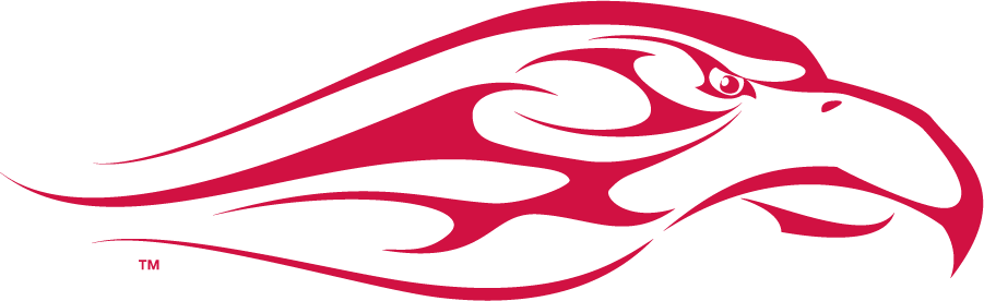 Liberty Flames 2003-2013 Secondary Logo iron on transfers for clothing